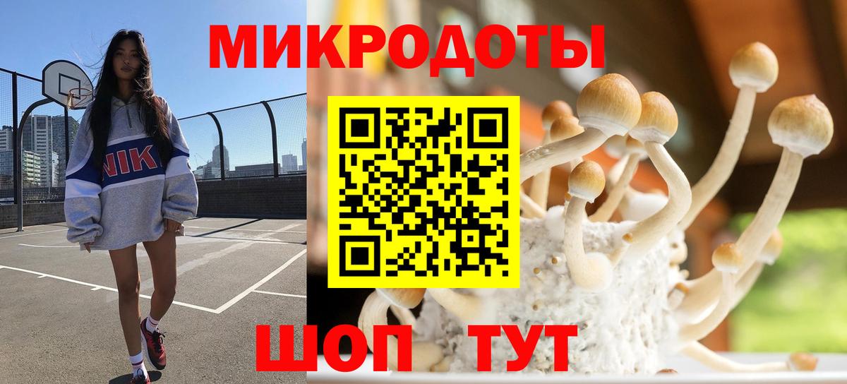 Галлюциногенные грибы Psilocybine cubensis Заводоуковск